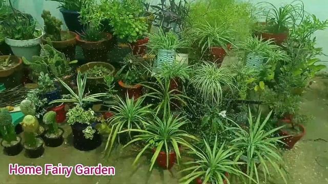 Watering plants||9/8/2020||Home Fairy Garden смотреть онлайн