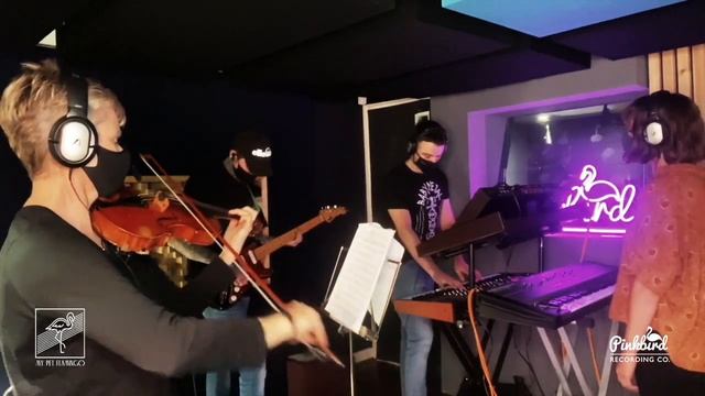Donor Lens : LIVE AT PINK BIRD