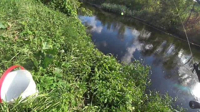 ОЦЕ КАБАН КЛЮНУВ!!! Головень на ВОБЛЕР. Коротяк, Ингул. #риболовляукраїна смотреть онлайн