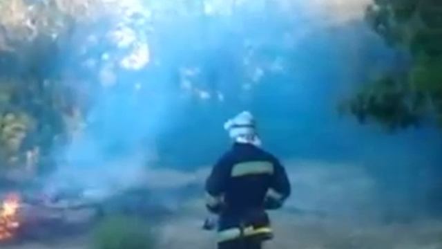 Пожар в садах Филбера 21.05.2014 смотреть онлайн
