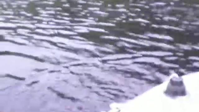 Щука 30 07 3 смотреть онлайн