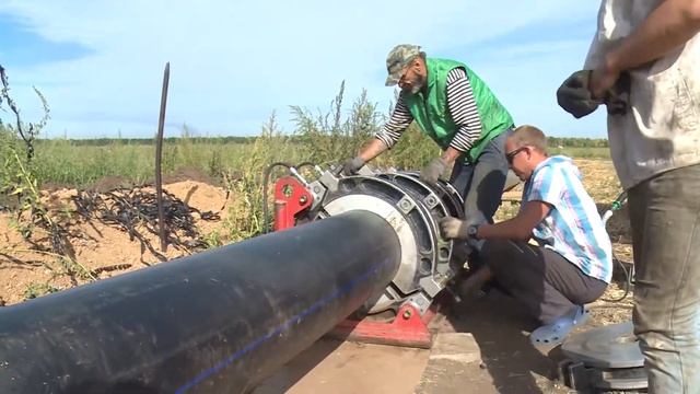 Местных овощей хватит всем смотреть онлайн
