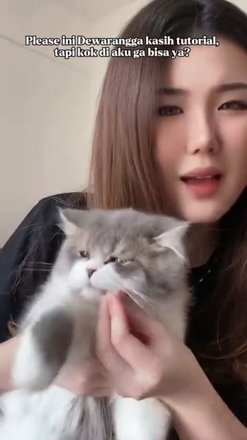 Kucing jadi rakus cuma gara-gara ini?! смотреть онлайн