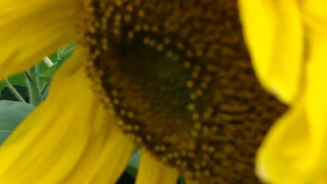 31августа2020г часть 2 смотреть онлайн