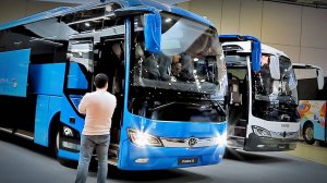 ПАЗ, КАВЗ и ЛИАЗ. Новички - туристы