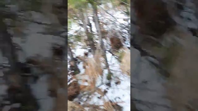 Делаем костёр, одни в лесу!!! смотреть онлайн