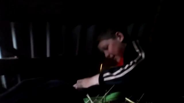Дибел смотреть онлайн