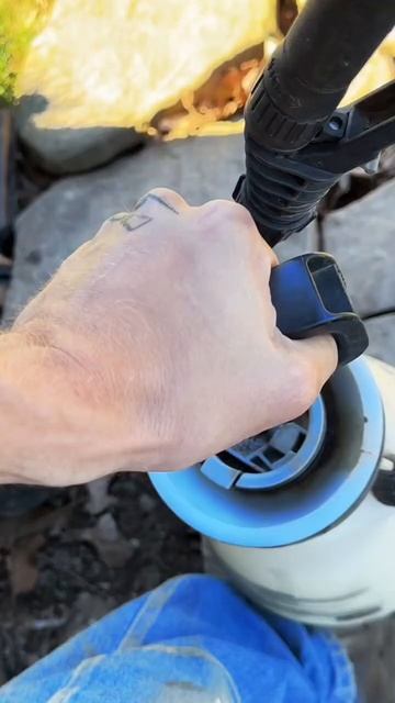 Discouraging wasps and bees from building nests in my buildings смотреть онлайн