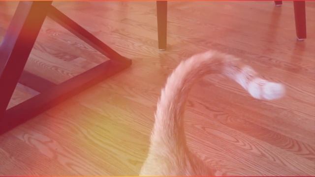 Little Pussy смотреть онлайн