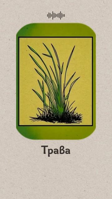 #grass #doodling #englishlearning #английскийдлядетей #английскийдляначинающих #englishspeaking смотреть онлайн