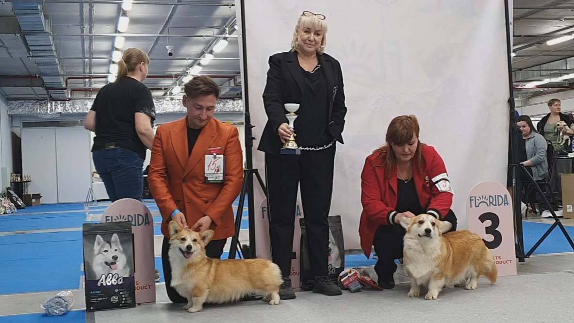 13.04.2025, СПб. Клуб "Бэст-Клуб". Моно ВЕЛЬШ КОРГИ ПЕМБРОК смотреть онлайн