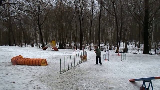 Сокольники, НКП. 03.01.2015. Д3 (превышение МВ) смотреть онлайн