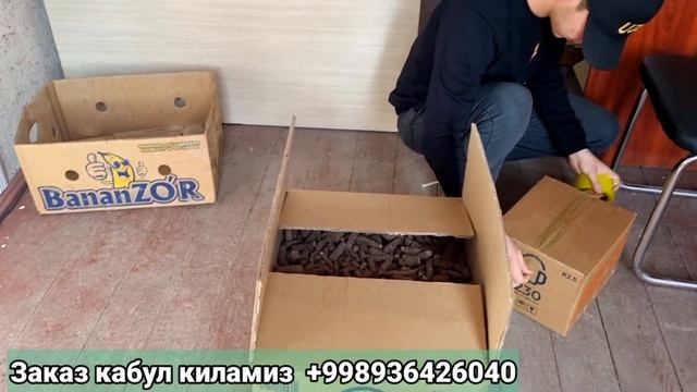 ПАВЛОВНИЯ М1 КАЛАМЧАСИ КИРГИСТОНГА ЖУНАТИЛДИ ( ПАВЛОВНИЯ М1 )