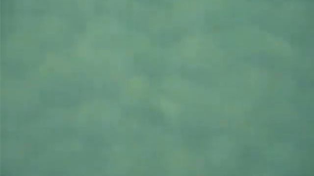 阿寒湖チョウルイ湾のマリモ（Aegagropila linnaei） смотреть онлайн