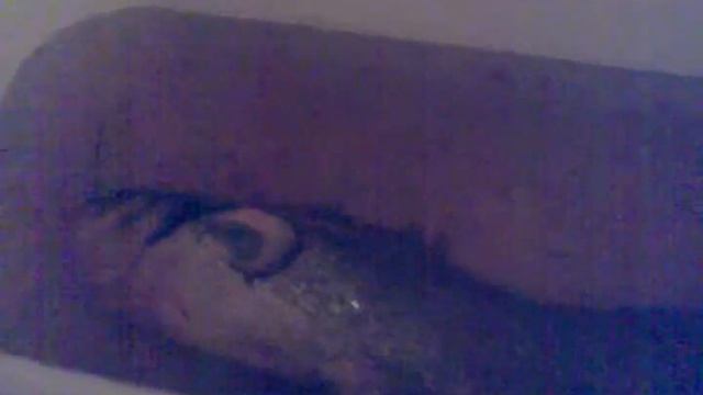 Сомы пойманные на квок. смотреть онлайн