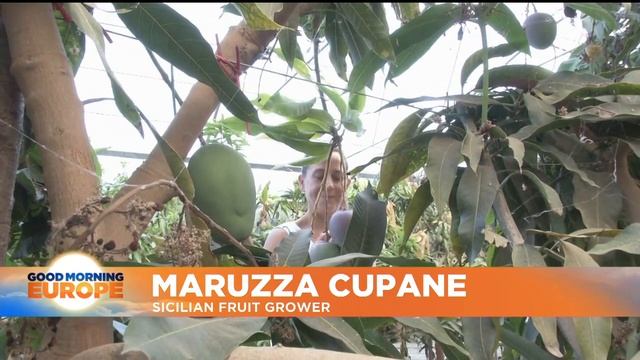 Sicily's fruit farmers adapt produce to changing climate смотреть онлайн