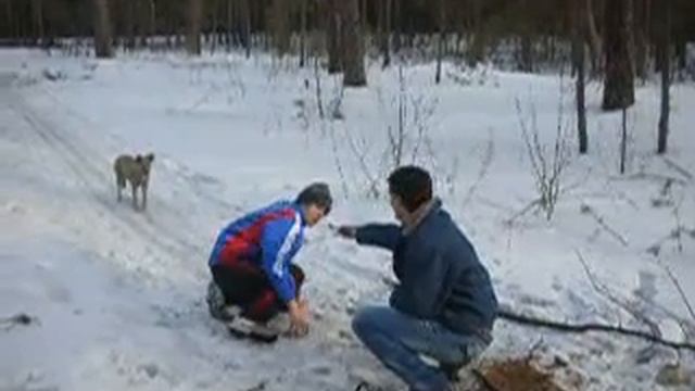 ,,,Кушать все хотят,,, смотреть онлайн