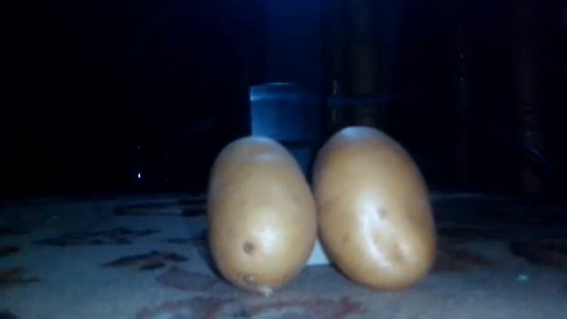 Картошки убийцы