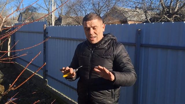 Детальна обрізка Персика
