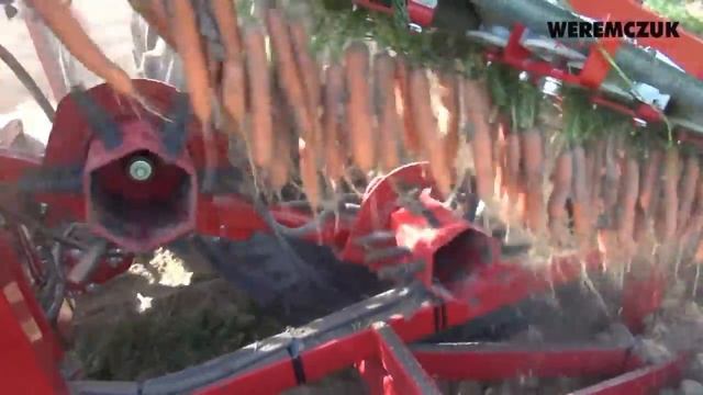 МОРКОВОУБОРОЧНЫЙ КОМБАЙН ALINA SUPERNOVA  Польша.
