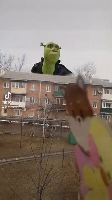 🧁НАПАДЕНИЕ ШРЭКА🧁😱💜#shorts #lalafanfan #лалафанфан смотреть онлайн