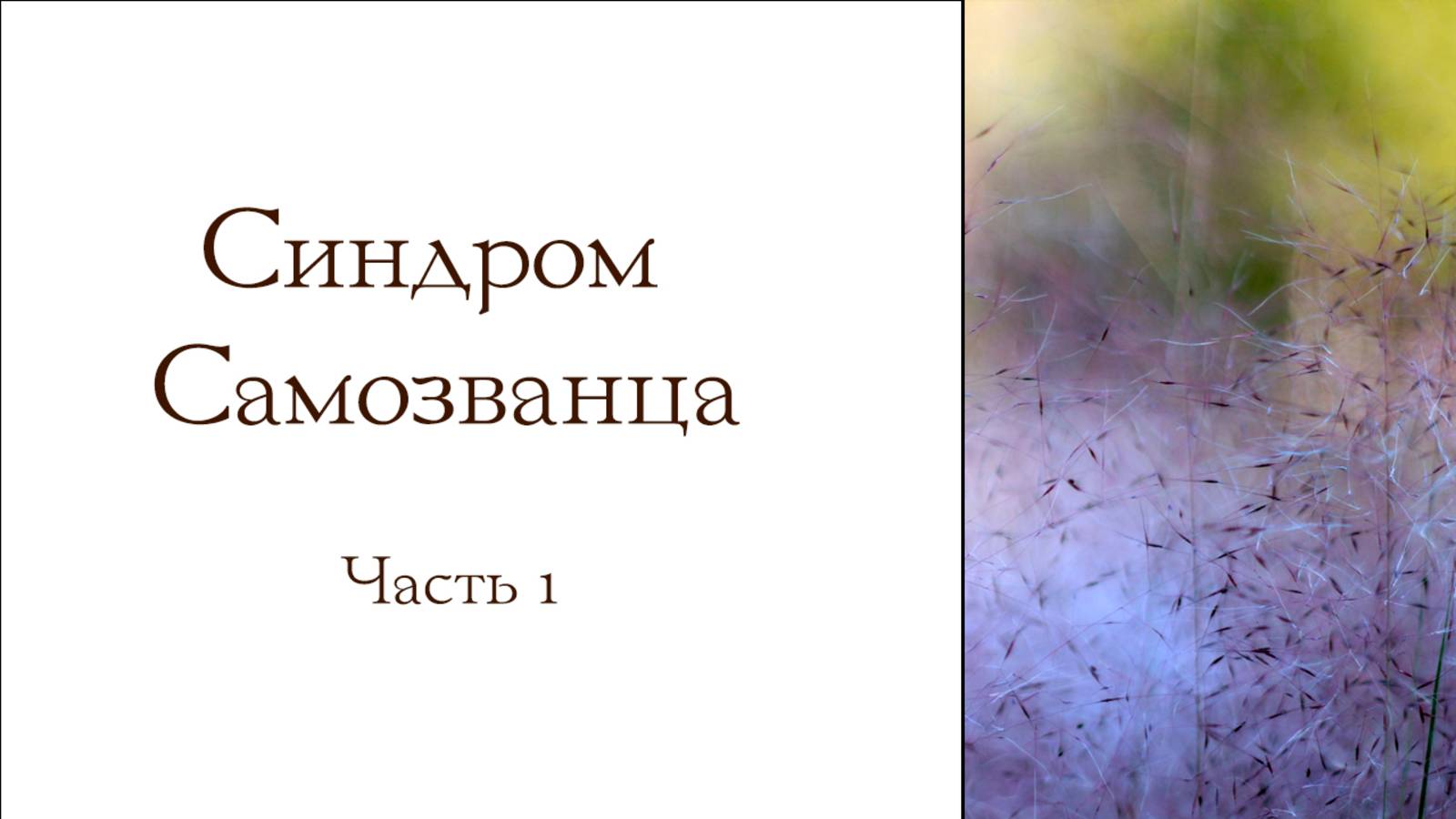 Синдром Самозванца. Часть 1