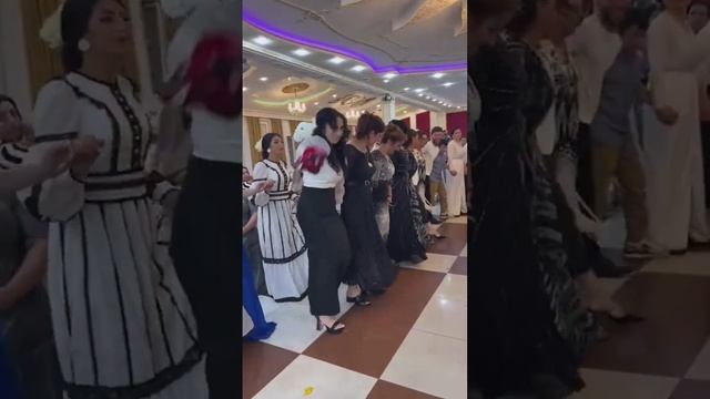 Кочари Езидская свадьба в Москве Dawata Ezdia #wedding #shorts #ezidi #mashup смотреть онлайн