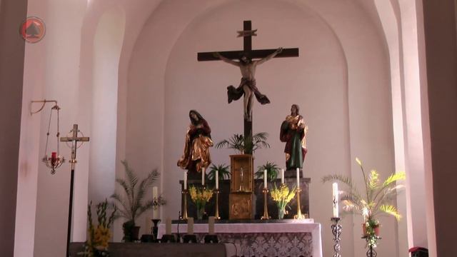 She's The One - Trumpet and Organ смотреть онлайн