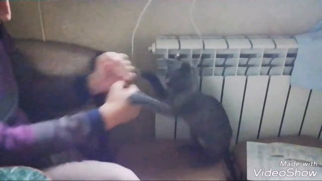 МОРТАЛ КОМБАТ В РЕАЛЬНОЙ ЖИЗНИ!? ЧТООО!? MORTAL KOMBAT IN REALLY LIFE!? WHAAAT!? | Cat Kasper смотреть онлайн