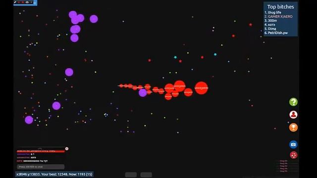 PetriDish With Dima | REVENGE