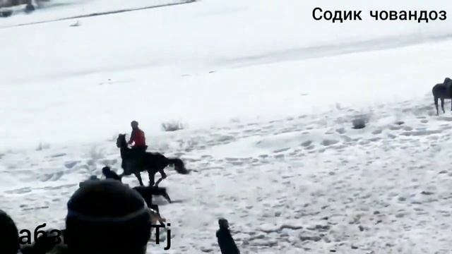 Содик човандоз бо аспи Фирдавс. смотреть онлайн