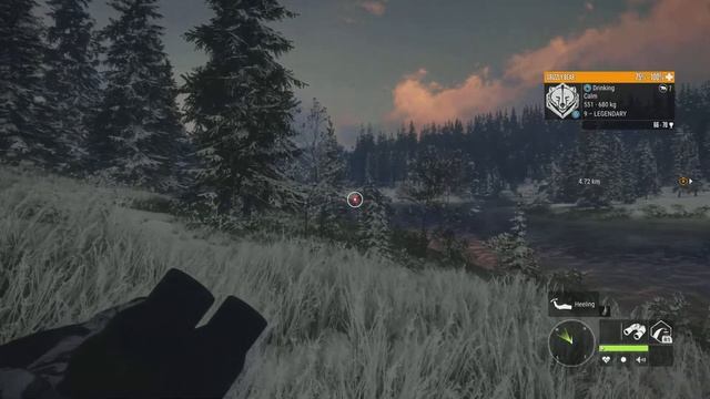 My reaction to my first diamond Grizzly смотреть онлайн