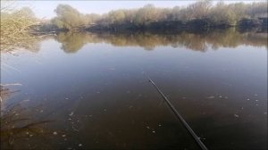 Рыбалка, прогулка на Дону ,г. Воронеж, 17.04.2025 года