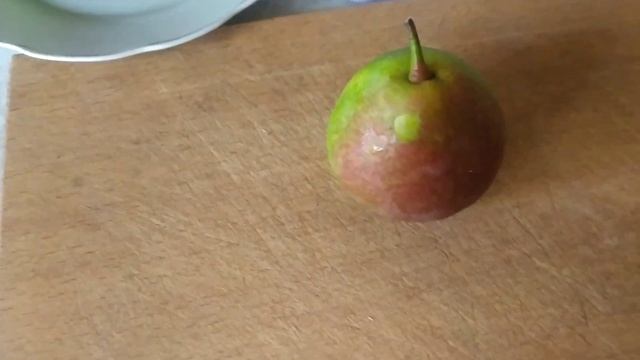 груша " Купала" летнего срока созревания - дегустация. смотреть онлайн