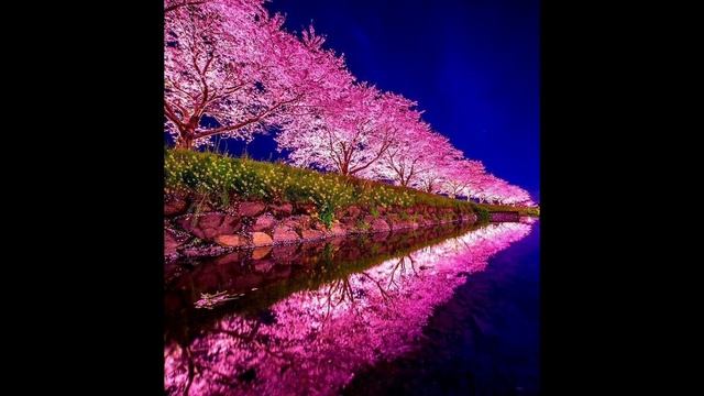 Я-это сделала сама😊 смотреть онлайн