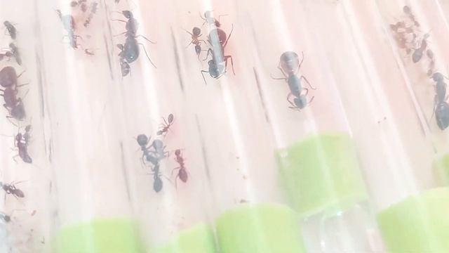 Мой планы на месяц 27.05.2023 смотреть онлайн