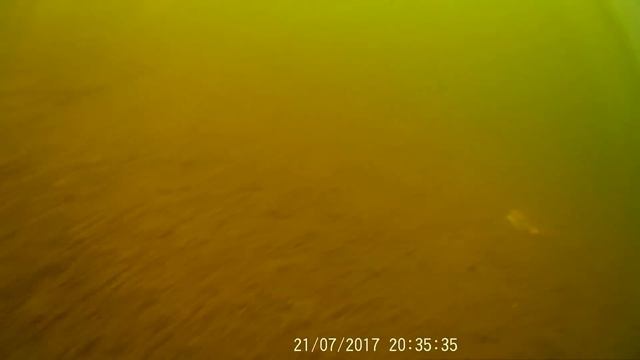 Тикгуба под водой смотреть онлайн