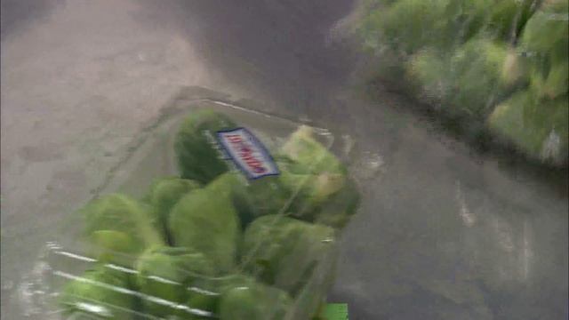 Ocean Mist Farms Fresh Brussels Sprout Harvest смотреть онлайн