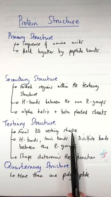 A Level Biology: Protein Structure смотреть онлайн