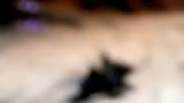 немножко про wow смотреть онлайн