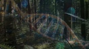 17-04-2025 Исцеляющая матрица Гаряева. Тело само начнет себя лечить.