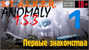 S.T.A.L.K.E.R. Anomaly 1.5.3 #1 Первые знакомства
