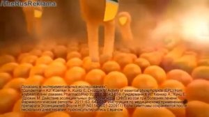 Реклама Капсулы Эссенциале -  2 капсулы 3 раза в день