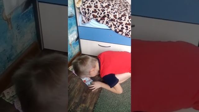 Мой дикий краб смотреть онлайн