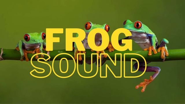 FROG SOUND | 30 MINS смотреть онлайн