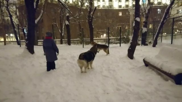 Канис, Карма, колокольный звон смотреть онлайн