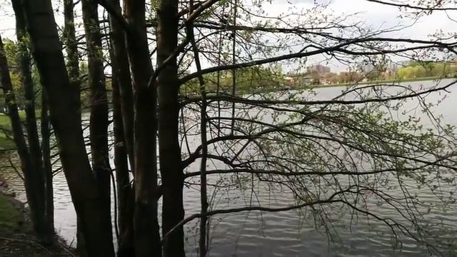 Парк "Царицино" - прогулка .Часть 1. смотреть онлайн