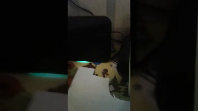 #басик сам снявидио😱😂 смотреть онлайн