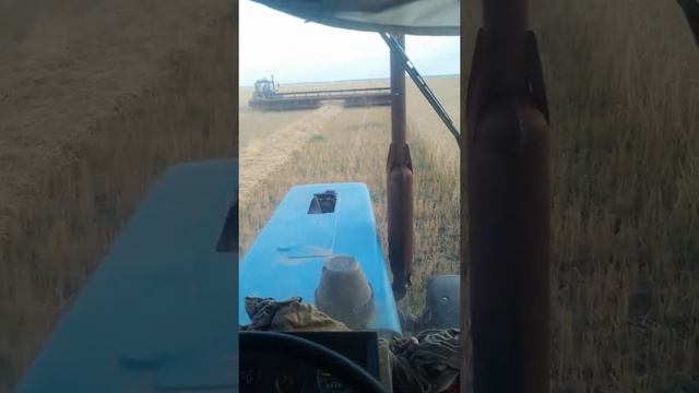 косим смотреть онлайн