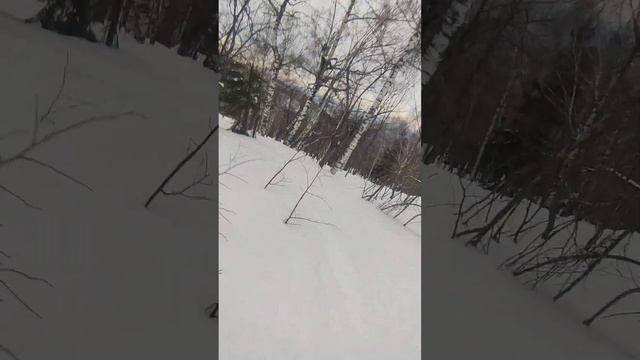 26 февраля 2023 г. Аджигаодак, трасса фрирайд. смотреть онлайн
